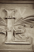 Wall_Art_Alphabet_Photography_Art_ 1262